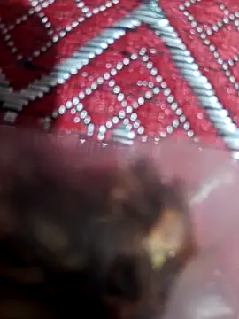 Snapshot of XBHUUME chatting on February 1, 2025, 10:15 am XBHUUME online show from February 1, 2025, 10:15 am