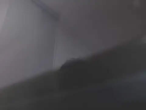 violetasweet11 online show from February 19, 2026, 7:04 am