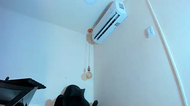 xGenesis Miller  online show from January 21, 2025, 11:55 pm