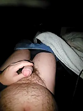 Snapshot of thefox92 chatting on February 4, 2025, 12:40 am thefox92 online show from February 4, 2025, 12:40 am