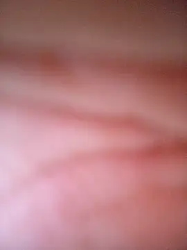 CASADASIGILO2 online show from November 13, 2025, 11:03 pm