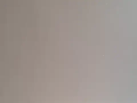 Snapshot of highstepper500 chatting on December 25, 2024, 5:05 pm highstepper500 online show from December 25, 2024, 5:05 pm