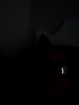 BocaElite online show from April 26, 2026, 11:52 am