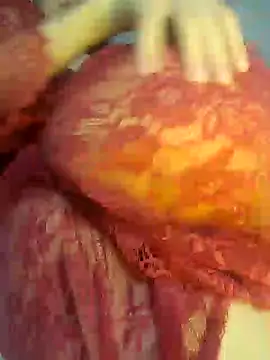 Sex Senfoura Arab online show from December 18, 2024, 12:32 am