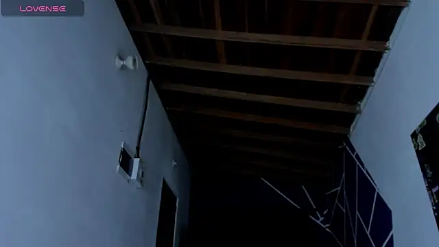 Snapshot of ink_demonxxx chatting on March 21, 2025, 3:33 am ink demonxxx online show from March 21, 2025, 3:33 am