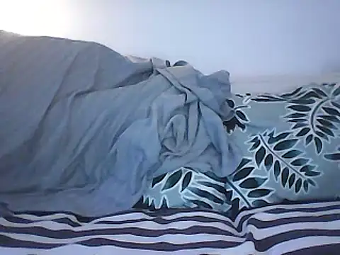 Snapshot of Malcomvs97 chatting on January 28, 2025, 8:04 am Malcomvs97 online show from January 28, 2025, 8:04 am