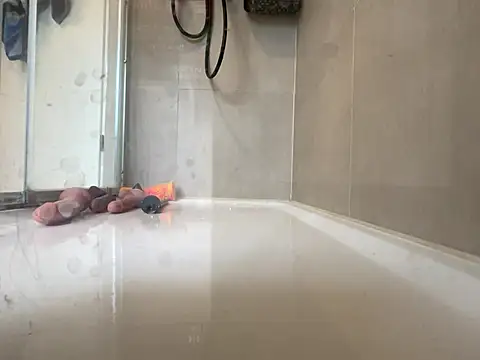 Snapshot of angelus112 chatting on March 29, 2026, 3:56 pm angelus112 online show from March 29, 2026, 3:56 pm