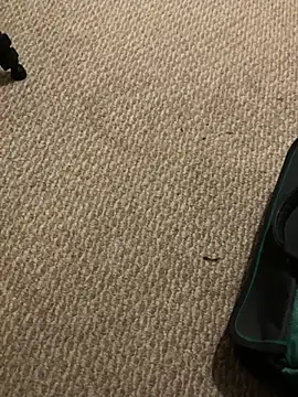 1Lustfully yours online show from November 10, 2025, 7:57 pm