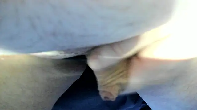 Big Andiy online show from September 12, 2025, 2:33 am