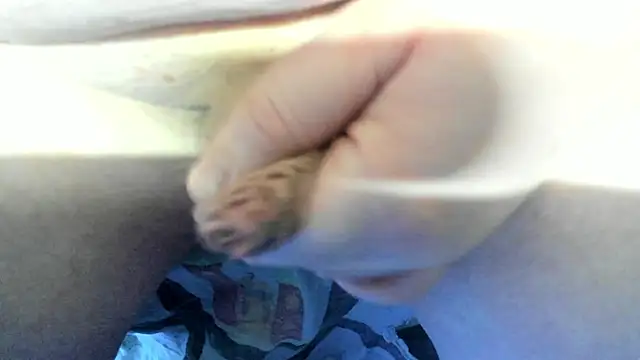 Big Andiy online show from December 19, 2025, 4:19 am