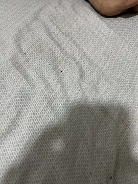 De maskedcouple online show from January 31, 2026, 8:29 pm