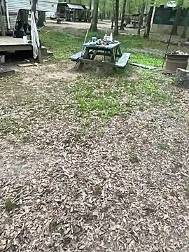 Themechanic420 online show from April 4, 2026, 2:58 pm