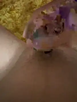 papi88 online show from March 6, 2026, 4:20 am