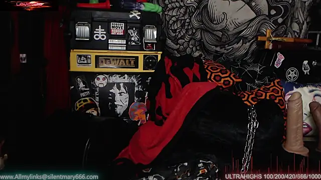 Silentmary online show from February 18, 2025, 11:52 pm