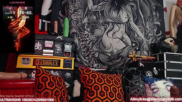 Silentmary online show from March 21, 2025, 7:35 pm