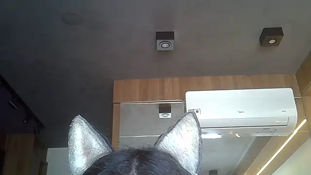 Skinny-Kitten online show from November 19, 2025, 12:16 pm