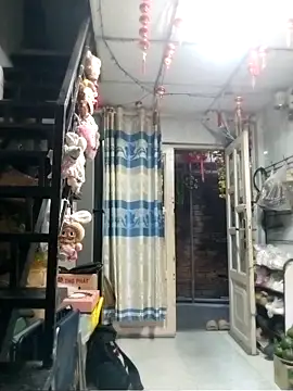 baobao26 online show from April 3, 2026, 10:57 am