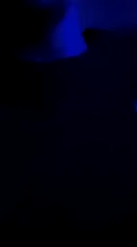 Snapshot of Midwestalpha chatting on January 6, 2025, 10:02 am Midwestalpha online show from January 6, 2025, 10:02 am