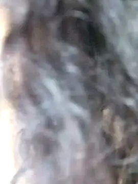 Doll Nepali online show from December 29, 2024, 1:34 am