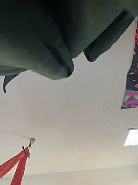 Snapshot of Terrafirma chatting on January 27, 2025, 4:11 pm Terrafirma online show from January 27, 2025, 4:11 pm