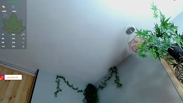 VickyJackson  online show from January 27, 2025, 5:04 pm