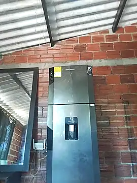 Yelly online show from March 13, 2026, 3:40 pm