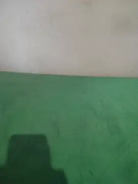  Scorpion  online show from February 11, 2025, 7:38 pm