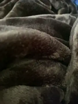 ft2022W online show from March 7, 2026, 6:16 pm