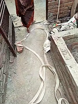 Snapshot of COUPLLE_VILLAGE chatting on February 19, 2026, 3:02 am COUPLLE VILLAGE online show from February 19, 2026, 3:02 am