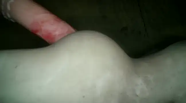 xxxlecram online show from January 9, 2025, 12:09 pm