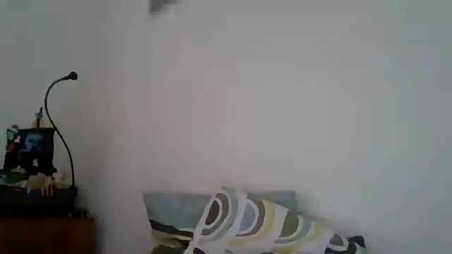 joaodias 97 online show from February 17, 2025, 2:26 pm