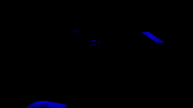 nzanizy online show from January 31, 2025, 6:57 pm