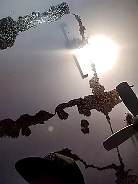 ColdVisitor online show from March 21, 2025, 6:38 am