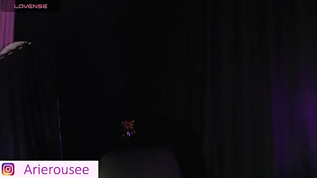 Snapshot of arie_rousee_sub chatting on September 16, 2025, 1:06 am arie rousee sub online show from September 16, 2025, 1:06 am