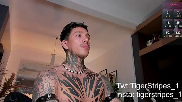 Snapshot of TigerStripes1_ chatting on February 22, 2025, 1:11 am TigerStripes1 online show from February 22, 2025, 1:11 am