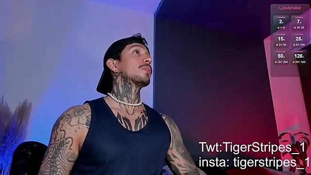Snapshot of TigerStripes1_ chatting on March 15, 2025, 12:25 am TigerStripes1 online show from March 15, 2025, 12:25 am