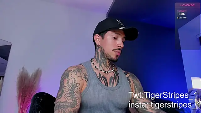 Snapshot of TigerStripes1_ chatting on March 19, 2025, 12:59 am TigerStripes1 online show from March 19, 2025, 12:59 am